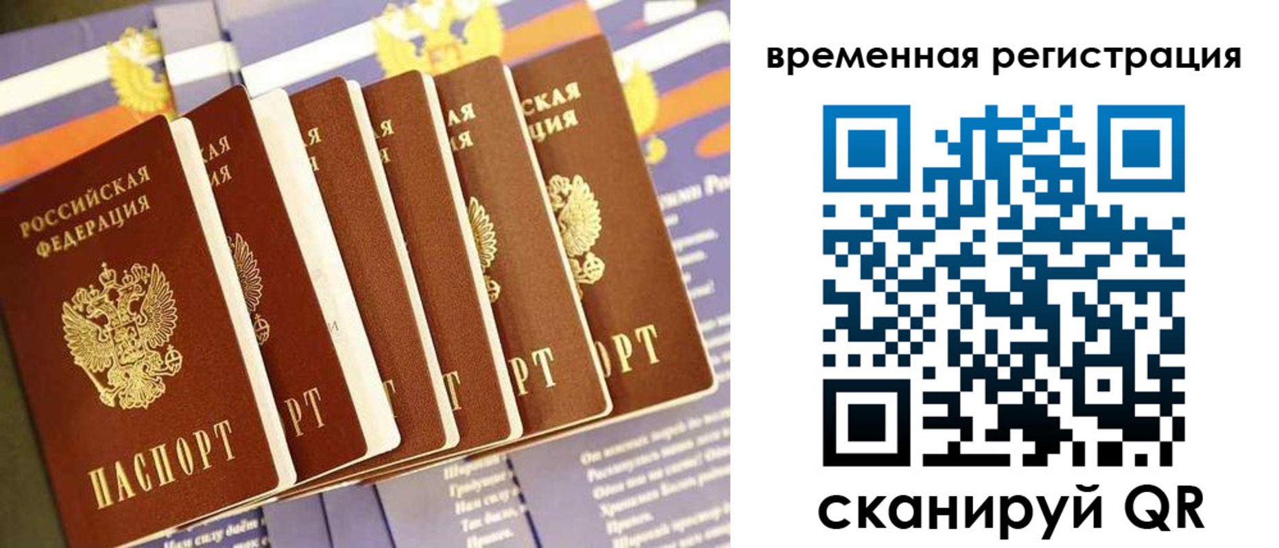 временная регистрация поиск в Лесном